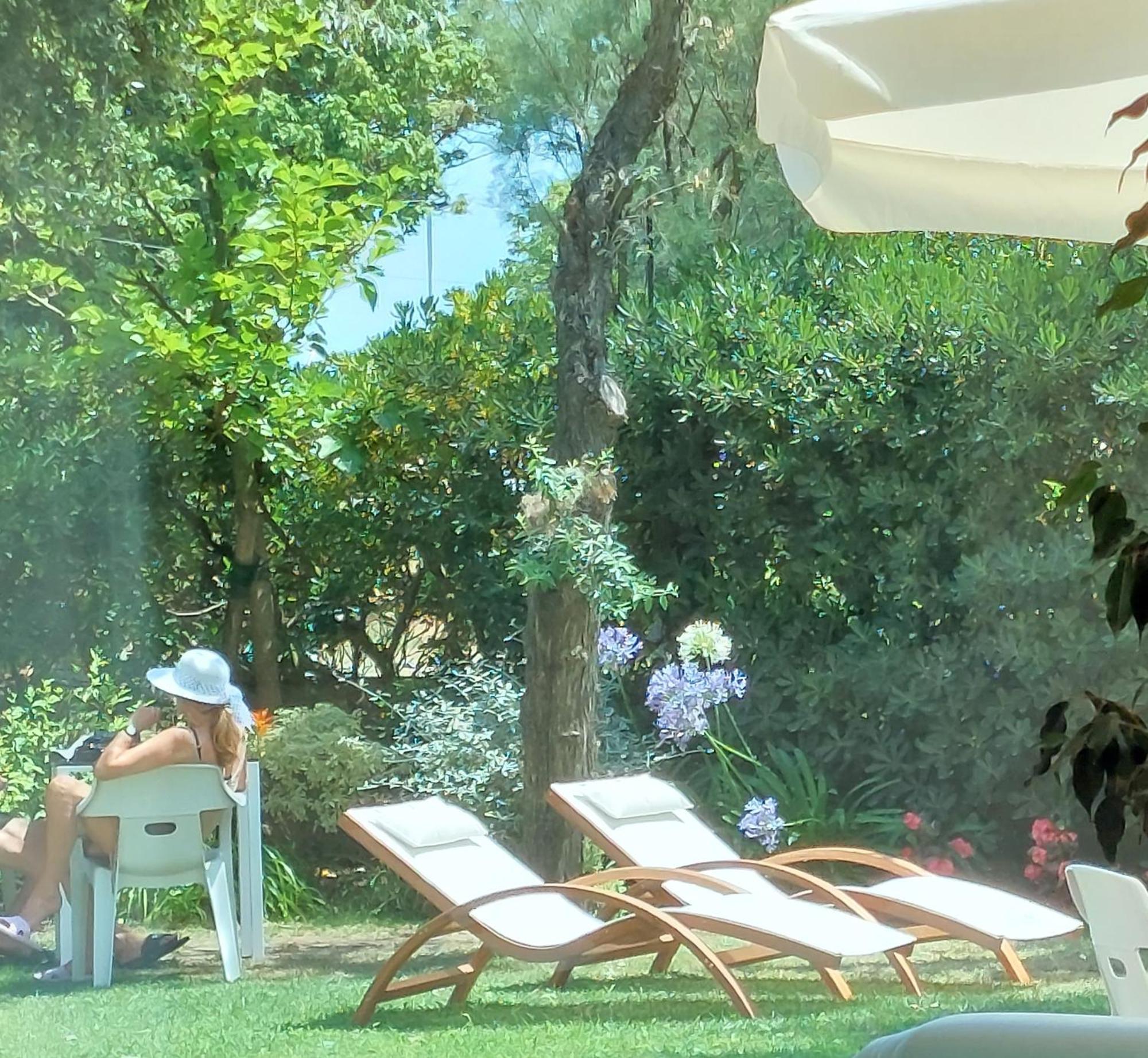 Hotel Astor B&B Lido di Classe Exteriér fotografie
